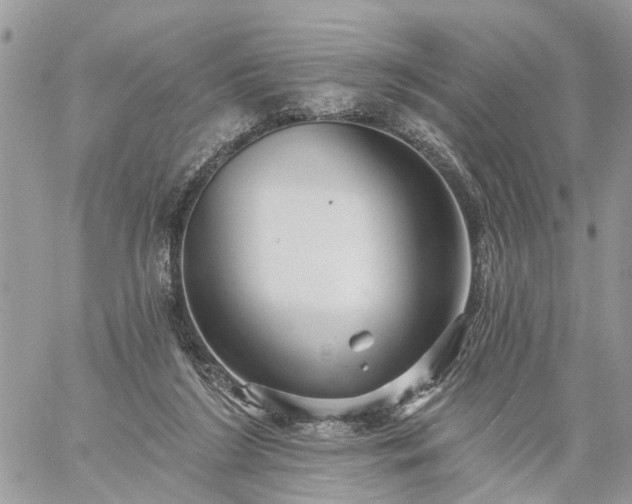 X0000059100212200510172128