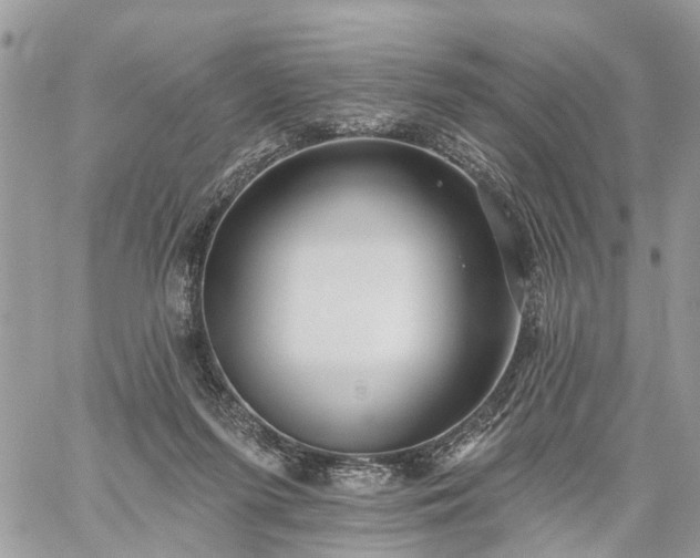 X0000059100215200510172128