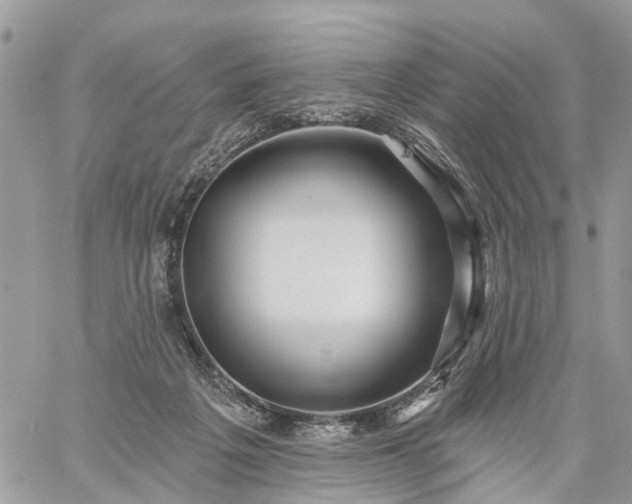 X0000059100217200510172128