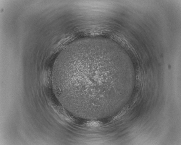 X0000059100218200510172128