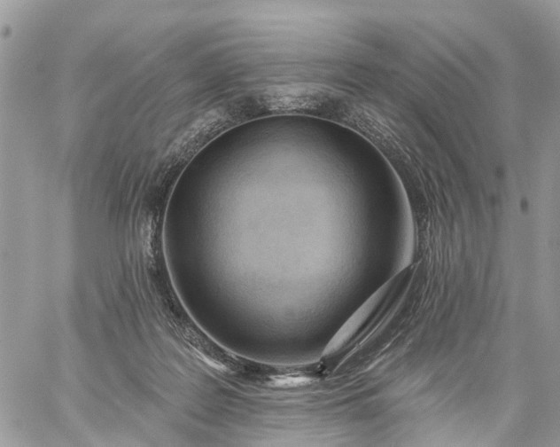 X0000059100219200510172128