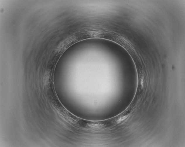 X0000059100221200510172128