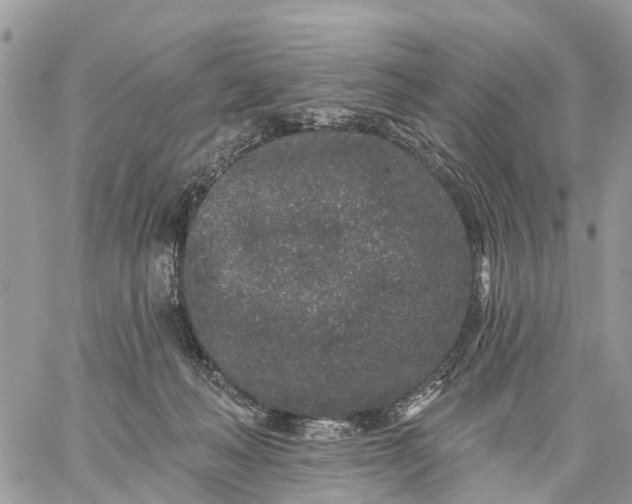 X0000059100222200510172128