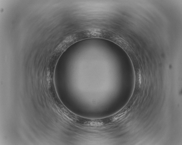 X0000059100223200510172128