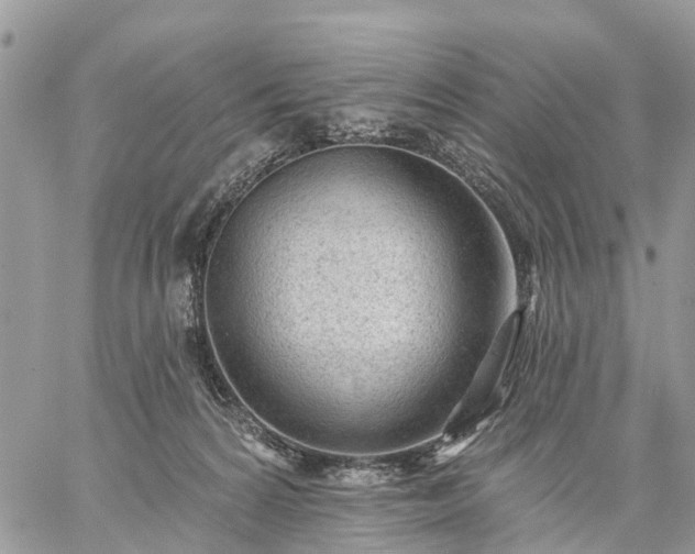 X0000059100224200510172128