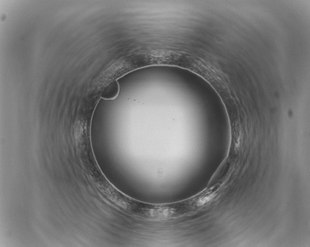 X0000059100225200510172128