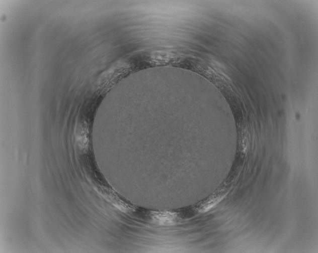 X0000059100226200510172128