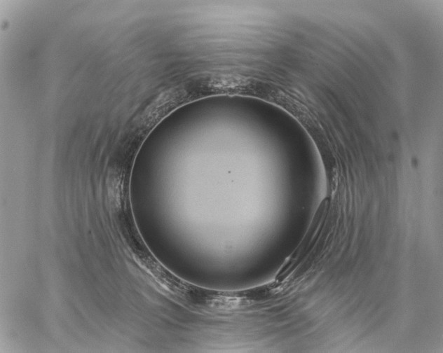 X0000059100227200510172128