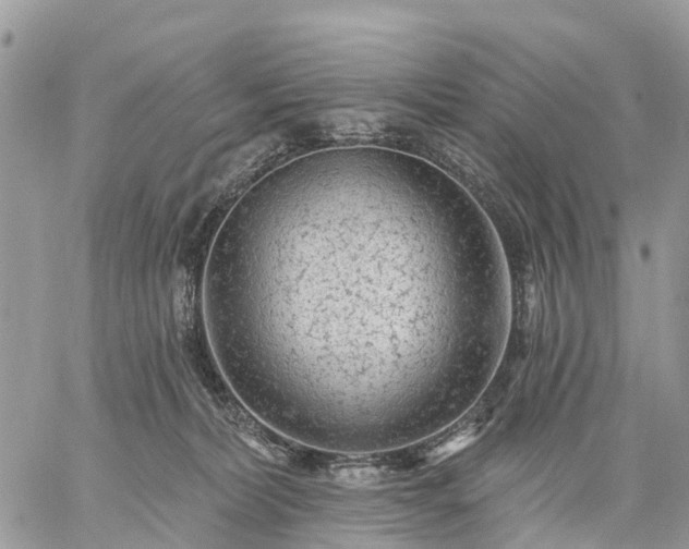 X0000059100228200510172128