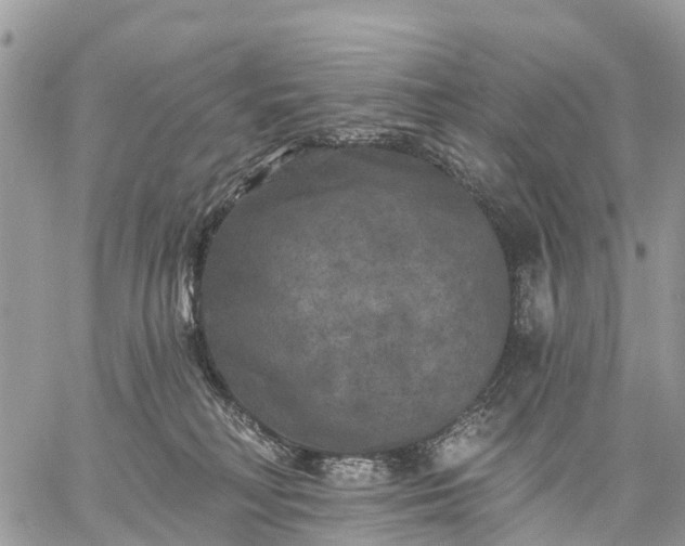 X0000059100230200510172128