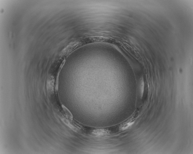 X0000059100231200510172128