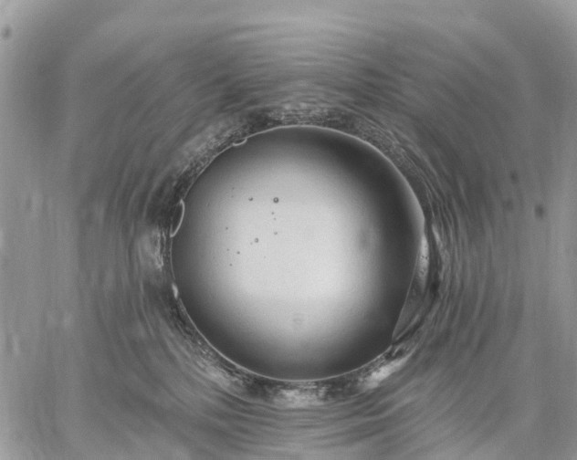 X0000059100232200510172128