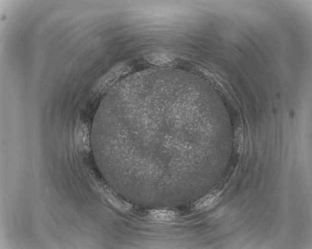 X0000059100234200510172128