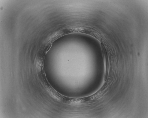 X0000059100235200510172128