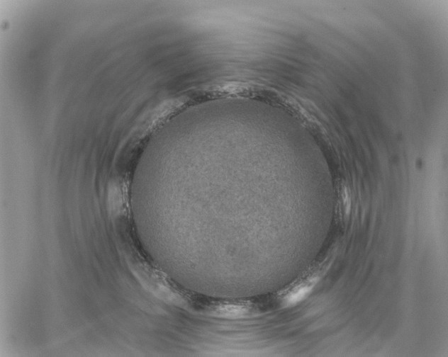 X0000059100236200510172128