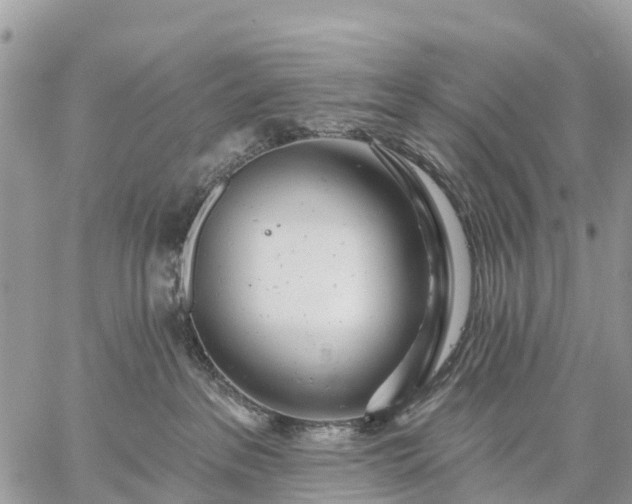 X0000059100237200510172128