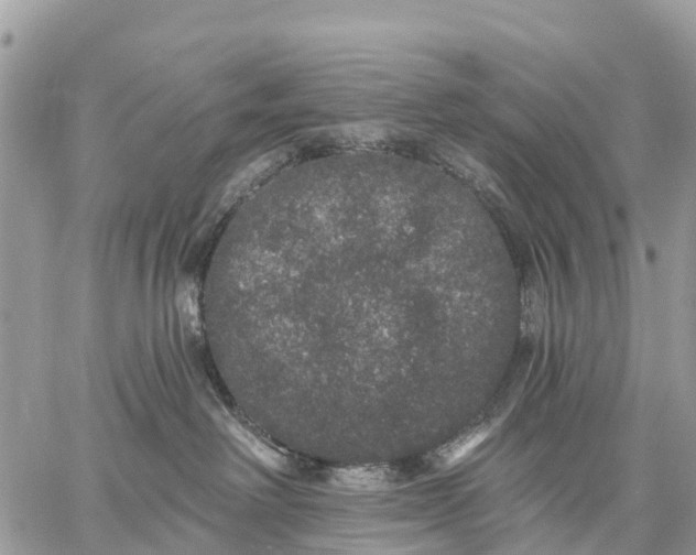 X0000059100238200510172128