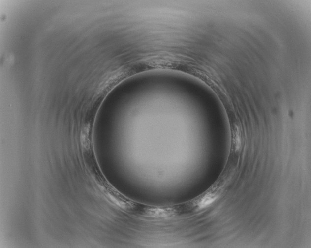 X0000059100239200510172128