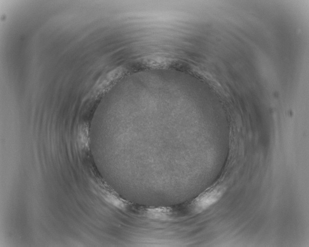 X0000059100240200510172128