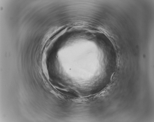 X0000059100241200510172127