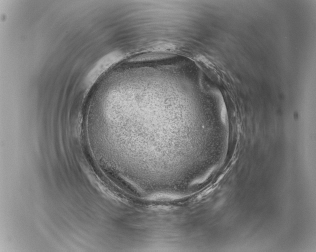 X0000059100242200510172127