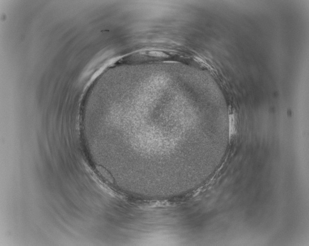 X0000059100243200510172127