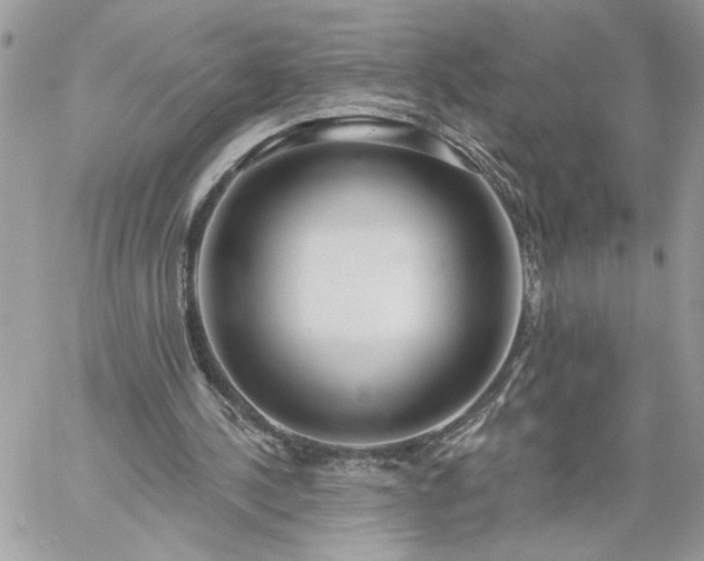 X0000059100244200510172127