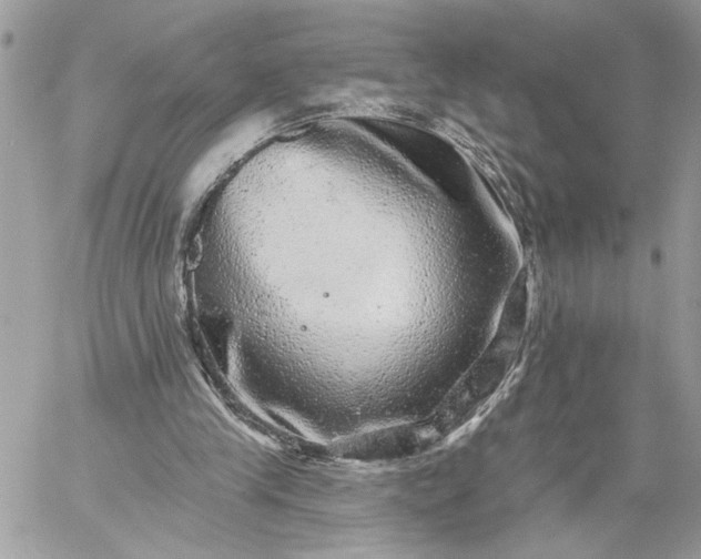 X0000059100245200510172127