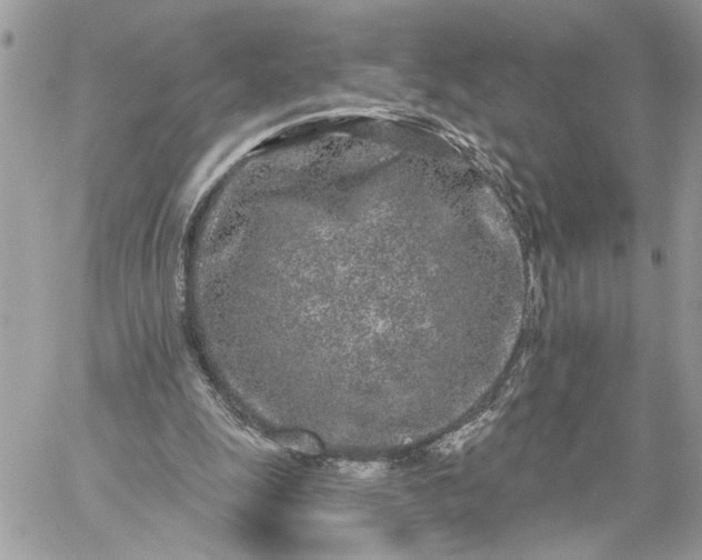 X0000059100247200510172127