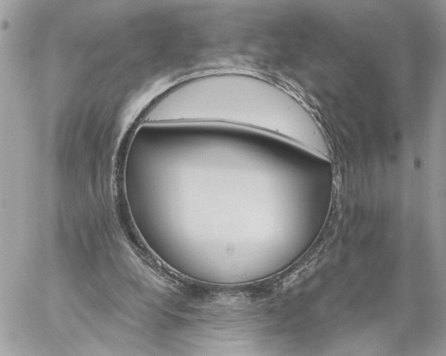 X0000059100248200510172127