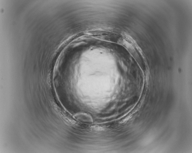 X0000059100249200510172127