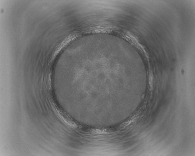 X0000059100250200510172127