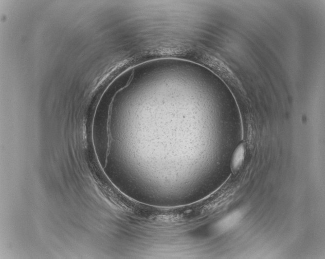 X0000059100251200510172127