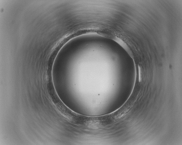 X0000059100252200510172127