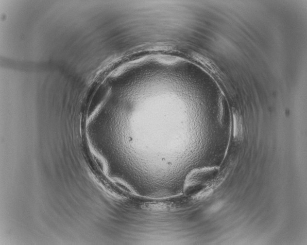 X0000059100253200510172127