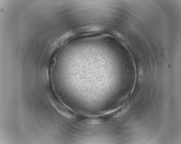 X0000059100254200510172127