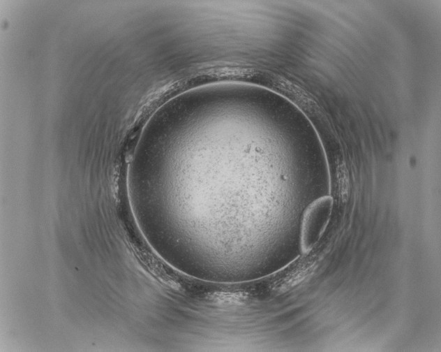 X0000059100255200510172127