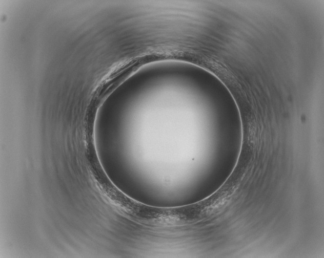 X0000059100256200510172127