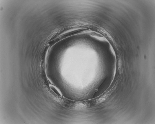 X0000059100257200510172127