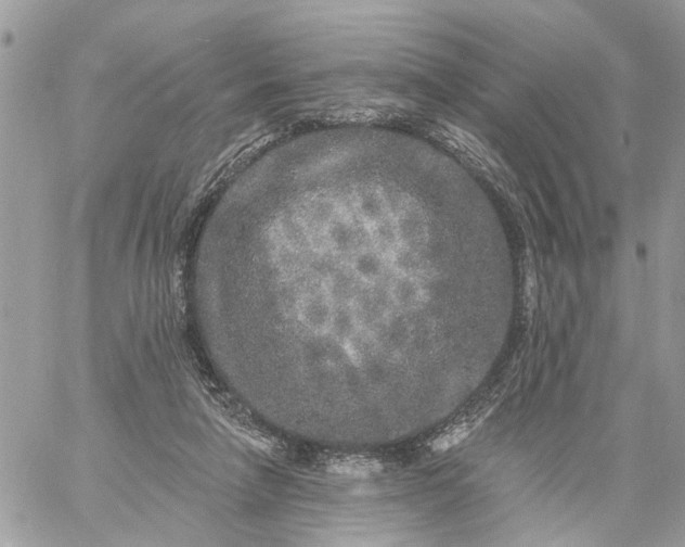 X0000059100258200510172127