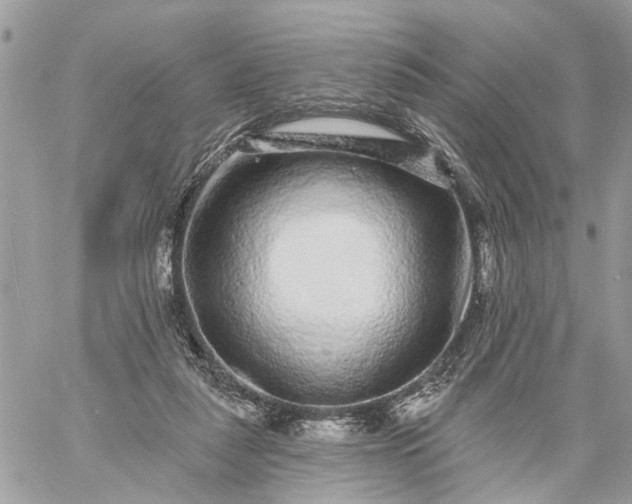 X0000059100259200510172127