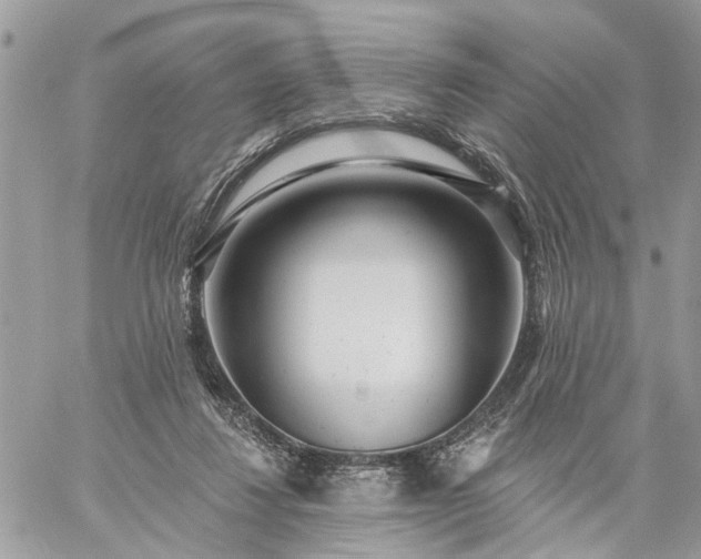 X0000059100260200510172127