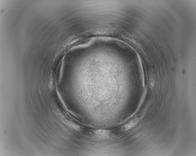 X0000059100261200510172127