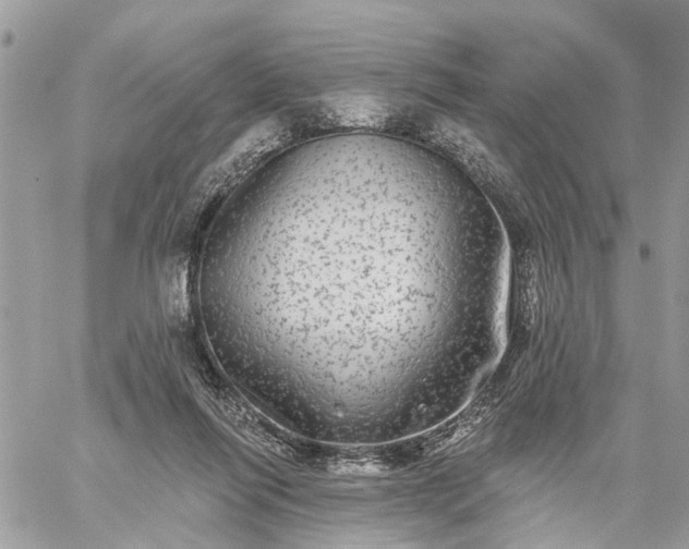 X0000059100262200510172127