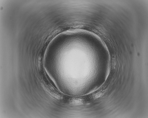 X0000059100263200510172127