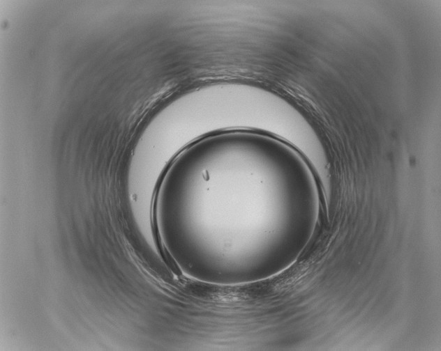 X0000059100264200510172127