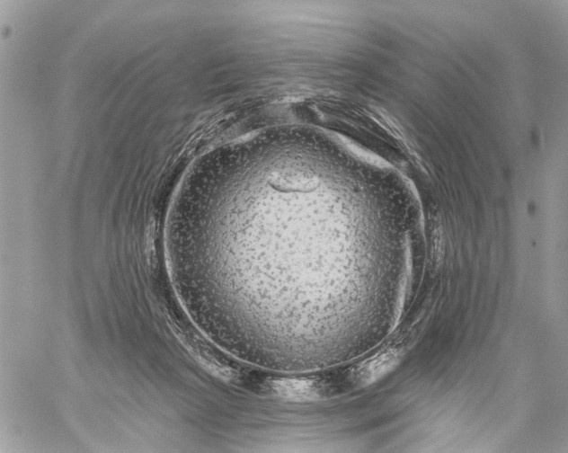 X0000059100265200510172127