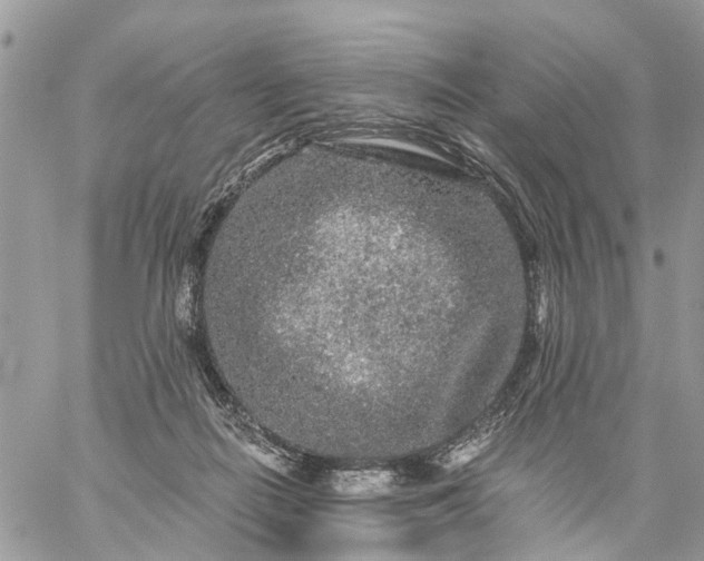 X0000059100266200510172127