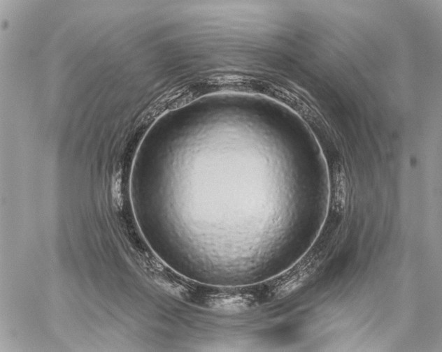 X0000059100267200510172127