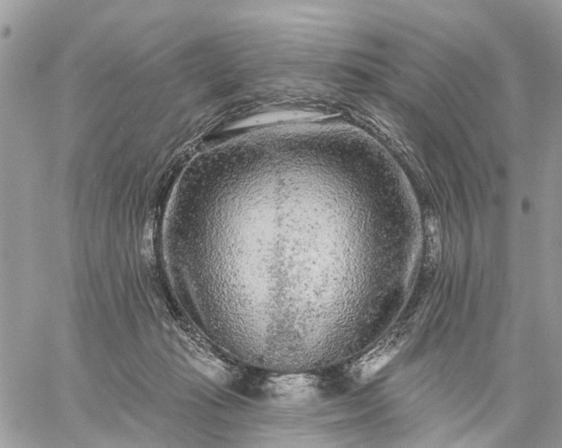 X0000059100269200510172127